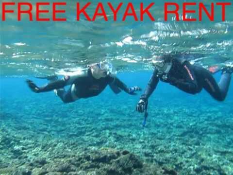 Ken'S Beachfront Cafe & Lodge, Bl2, Oceanfront And Free Canoe Rental อนนะ ภายนอก รูปภาพ